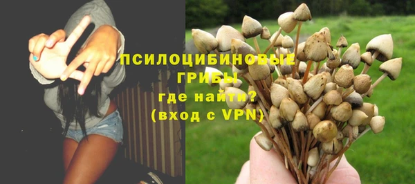 ALPHA-PVP Алексин