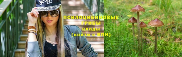 ALPHA-PVP Алексин